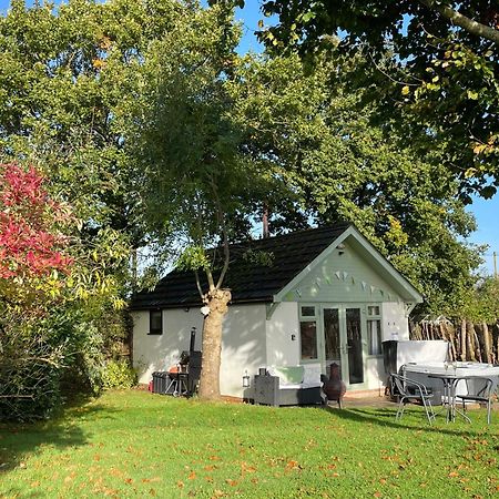 Pheasant Lodge Wimborne Minster Buitenkant foto