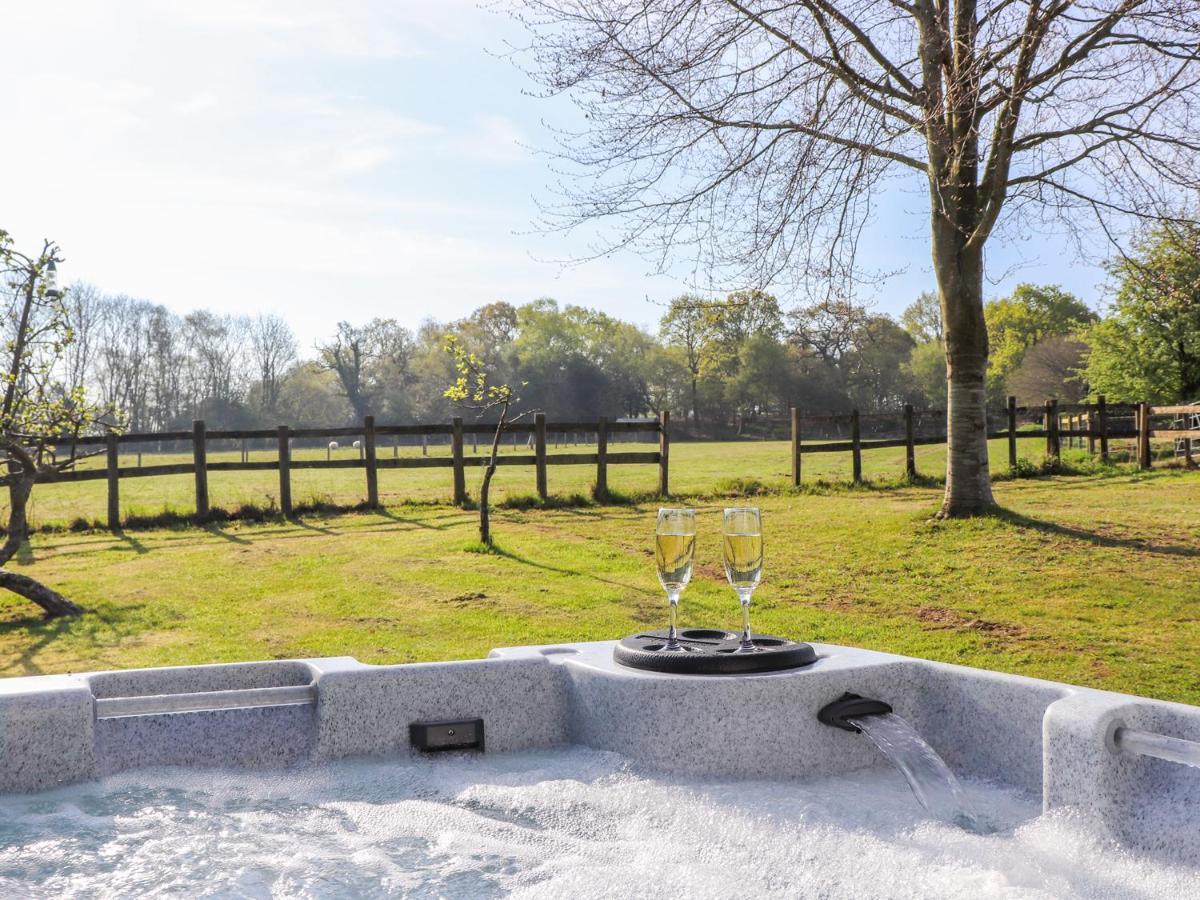 Pheasant Lodge Wimborne Minster Buitenkant foto