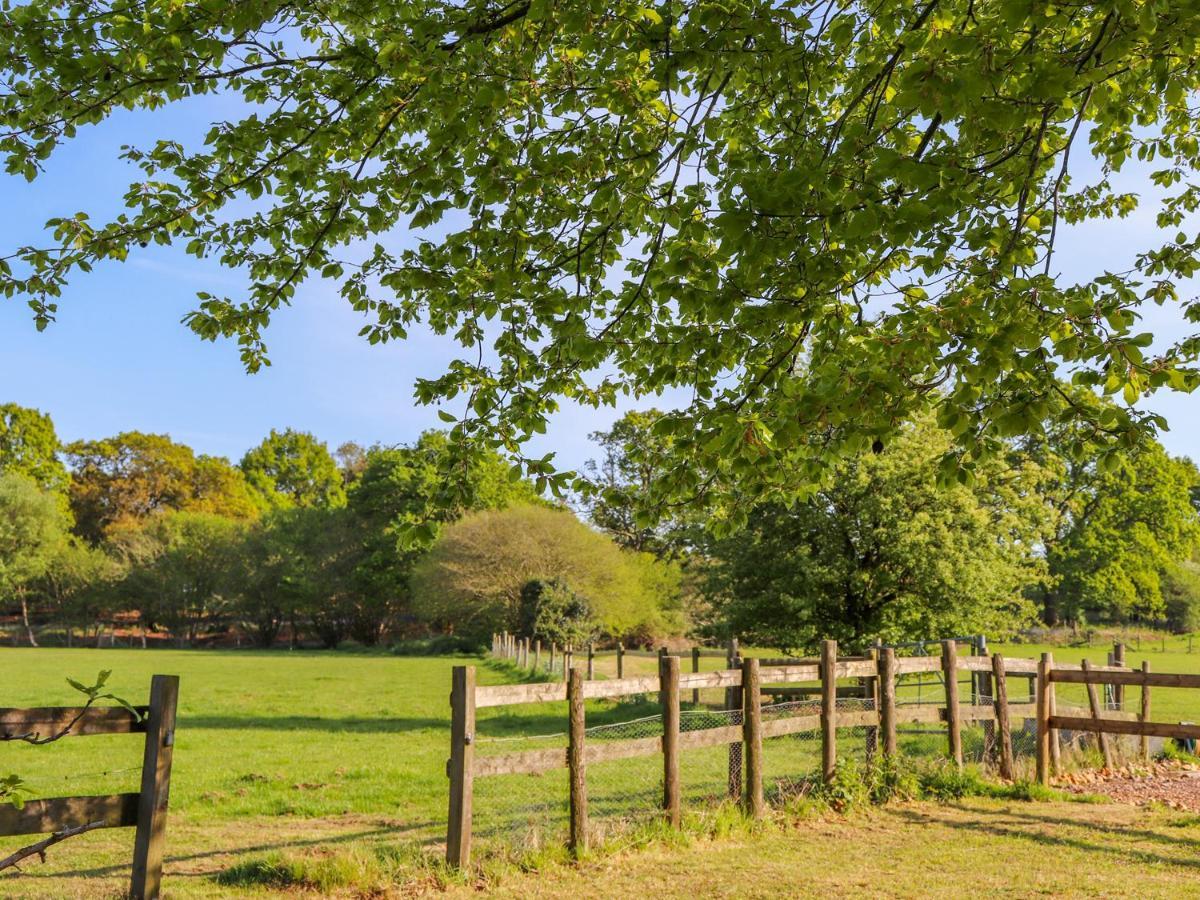 Pheasant Lodge Wimborne Minster Buitenkant foto