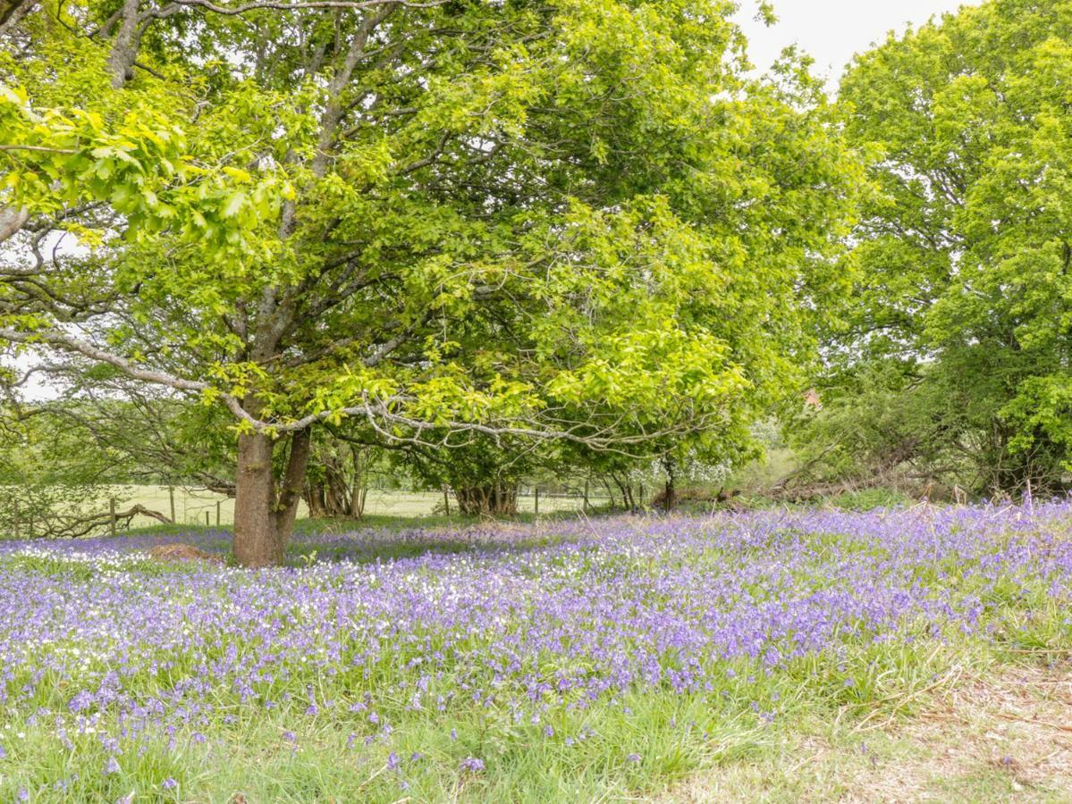 Pheasant Lodge Wimborne Minster Buitenkant foto