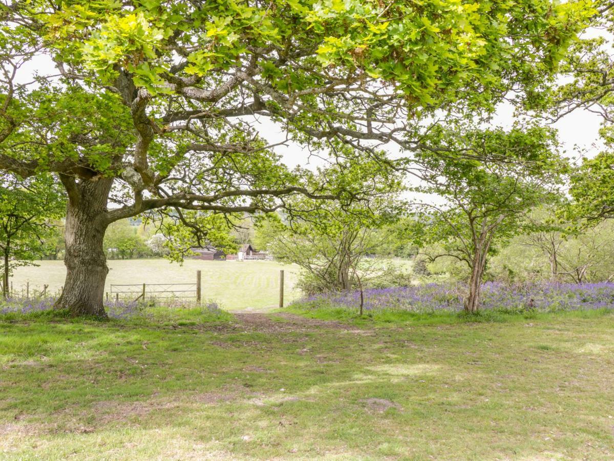 Pheasant Lodge Wimborne Minster Buitenkant foto